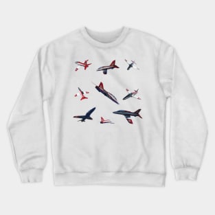 Hawk Aircraft Crewneck Sweatshirt